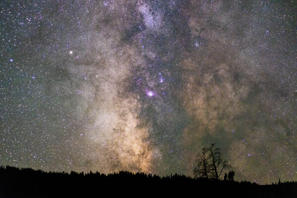 Center of Milky Way over Forest