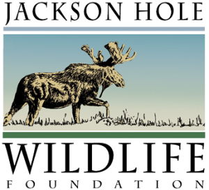 Fundación de Vida Silvestre de Jackson Hole
