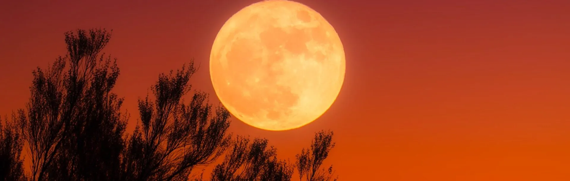 Where to See the Harvest Moon in Wyoming this October