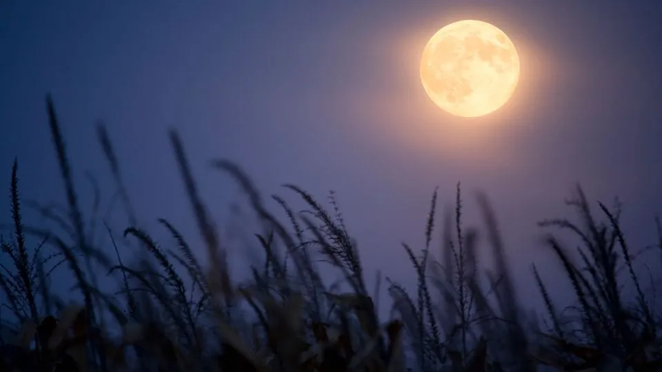 harvest moon in wyoming