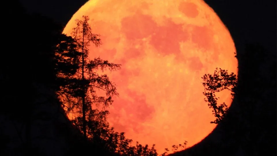 beaver moon in wyoming