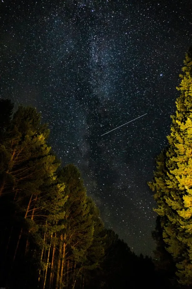 Meteor shower in Wyoming night sky over trees