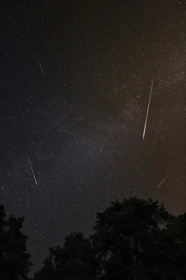 Meteor shower in Wyoming night sky over silhouetted trees