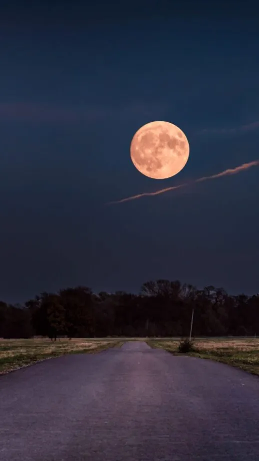 things to do in jackson wyoming including the wolf moon