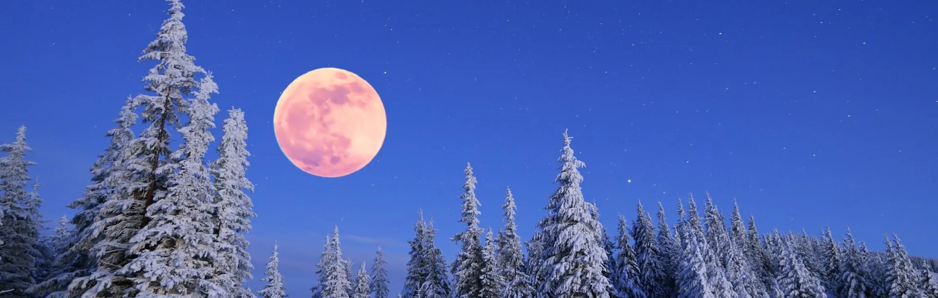 Where to See the February Snow Moon in Wyoming