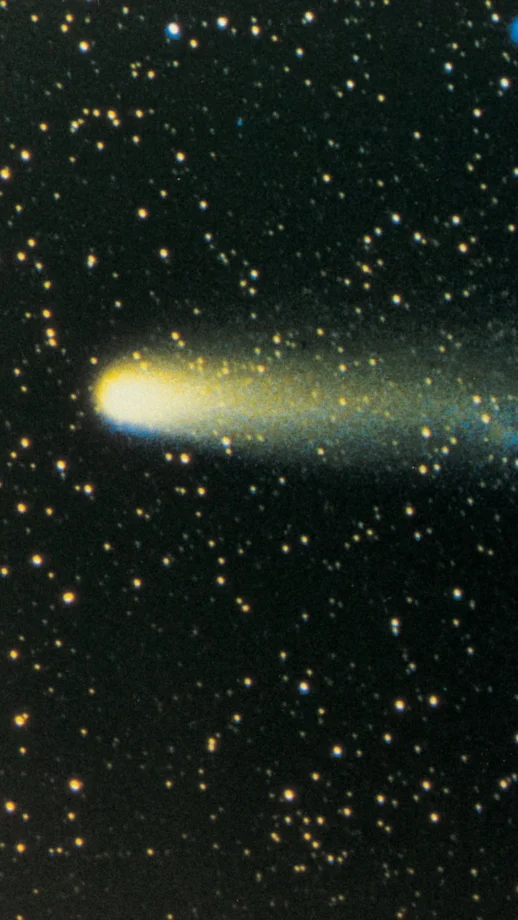 Halley’s Comet